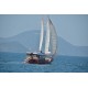 Hanedan Sailing 